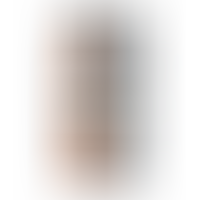 Dildo Model 1 38 cm Flesh