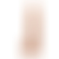 Dildo Model 5 26,6 cm Flesh