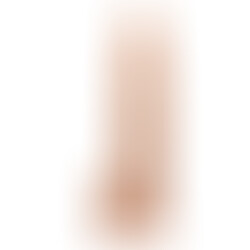 Dildo Model 5 26,6 cm Flesh