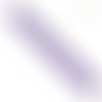 Gunter Doble Vibrador 40 cm Morado Control Remoto
