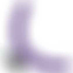 Gunter Doble Vibrador 40 cm Morado Control Remoto