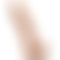 Dildo Model 1 Pene Realístico 17,5 cm 
