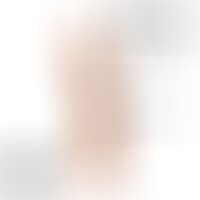 Dildo Model 2 Pene Realístico Natural 19 cm
