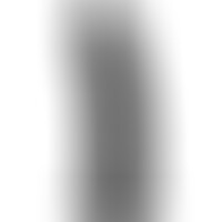 Dildo Modelo 2 Pene Realístico Negro 15 cm