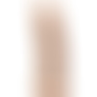Dildo Modelo 2 Pene Realístico Natural 15 cm