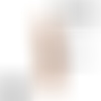 Dildo Modelo 2 Pene Realístico Natural 15 cm