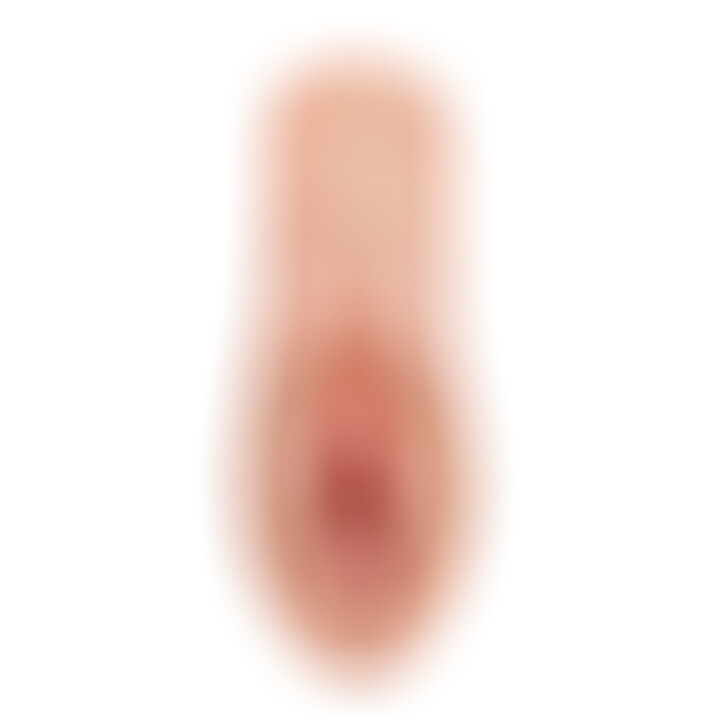 Perfect Pussy Dream Stroker Light