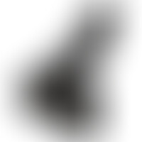 Pene con Testículos Negro 38 cm