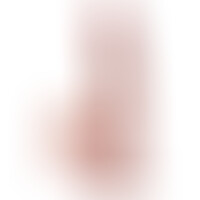 Plus 3d Dildo Swinging Balls 24.5 cm Natural