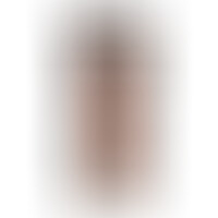 Dildo Realístico Silicona 20.3 cm Caramelo