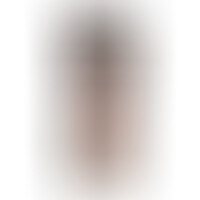 Dildo Realístico Vibrador 15.2 cm