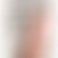Dildo Realístico Vibrador 15.2 cm