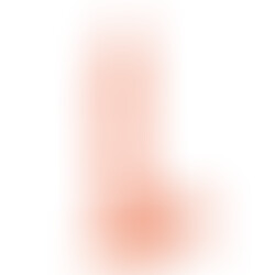 Pene Realístico Jayson 21 cm