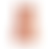 Torso Masturbador Vibrador Vagina y Ano