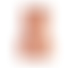 Torso Masturbador Vibrador Vagina y Ano