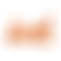 Torso Realístico Lovely Trans