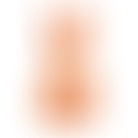 Torso Realístico Lovely Trans
