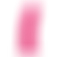 Dildo Model 2 Rosa