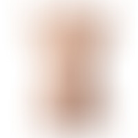 Torso Apollo L Flesh Dildo 17,7 cm