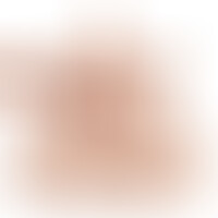 Torso Apollo L Flesh Dildo 17,7 cm