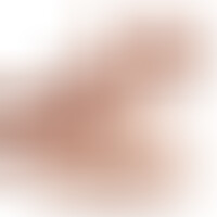 Torso Apollo L Flesh Dildo 17,7 cm