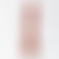 Vibrador Inviktus Vibe 8,5 Piel