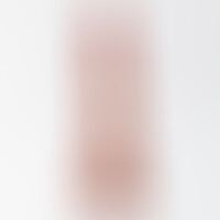 Vibrador Inviktus Vibe 8,5 Piel