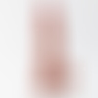 Vibrador Inviktus Vibe 8,5 Piel