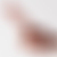 Dildo Inviktus 7 Piel