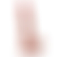 Dildo Inviktus 7 Piel