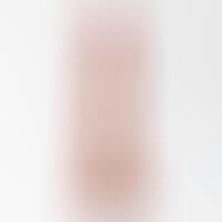 Dildo Inviktus 8,5 Piel