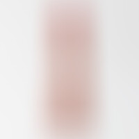 Dildo Inviktus 8,5 Piel