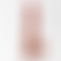 Dildo Inviktus 8,5 Piel