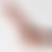 Dildo Inviktus 8,5 Piel