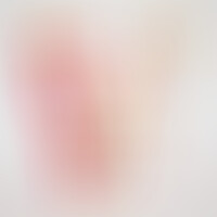 Dildo Inviktus 8,5 Piel