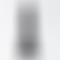 Dildo Inviktus 7 Negro