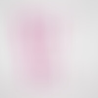 Hudini Dildo Anal Jelly Rosa