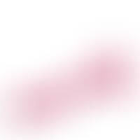 Hudini Dildo Anal Jelly Rosa