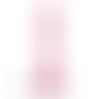 Hudini Dildo Anal Jelly Rosa
