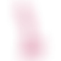 Hudini Dildo Anal Jelly Rosa