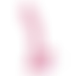 Hudini Dildo Anal Jelly Rosa
