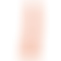 Pene Realístico Justin 21,5 cm