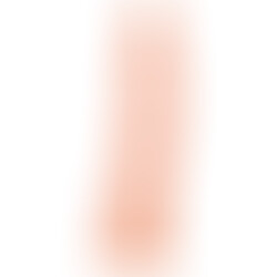 Pene Realístico Justin 21,5 cm