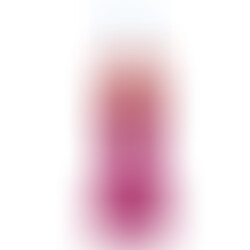 Vaso Polla Fucsia
