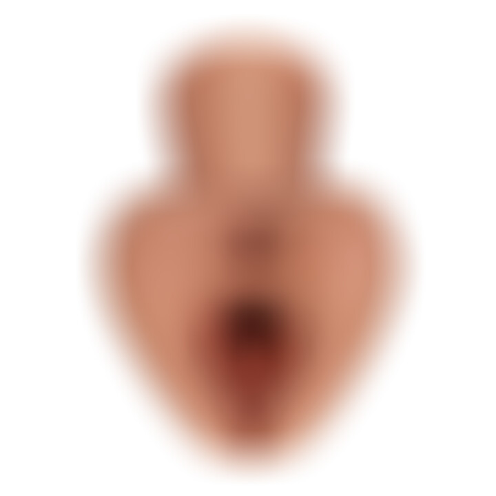 Pick Your Pleasure Stroker XL Brown