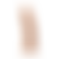 Vibrador Model 2 Flesh con Mando
