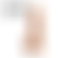 Dildo Model 4 Flesh