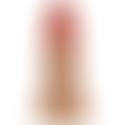 Modelo 1 Xtreme Pene Realístico 28 cm
