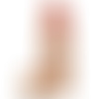 Modelo 1 Xtreme Pene Realístico 28 cm
