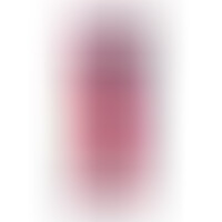 Pene Realístico Modelo 2 Rosa + Control Remoto 17 cm